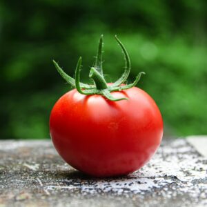 tomato
